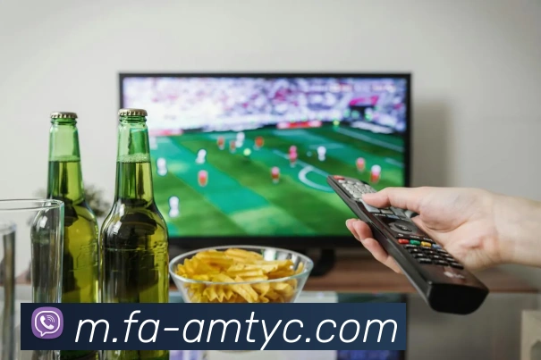 太阳城网站平台生态图